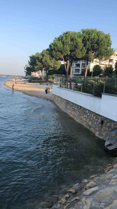 Maison A Arcachon Avec Piscine Hors-Sol Extérieur photo
